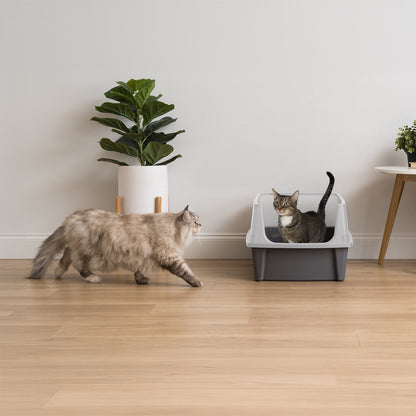 IRIS, XXL Open-Top Cat Litter Box with High Sides, Easy to Clean for Big Cats, Gray