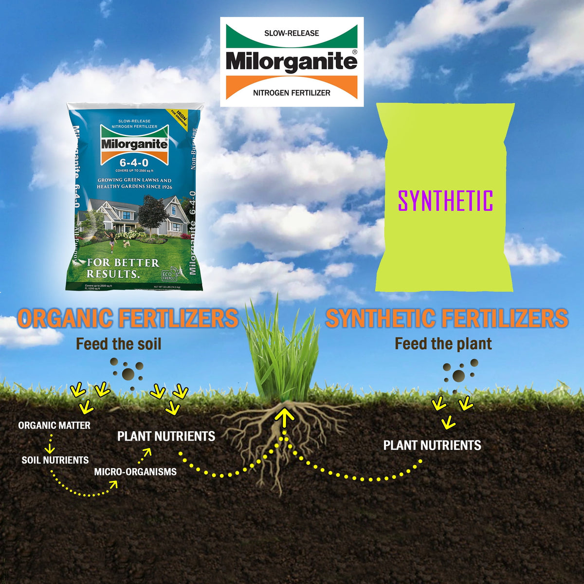 (2 pack) Milorganite Long Lasting All Purpose Lawn Food, 6-4-0 Fertilizer, 32 lb.