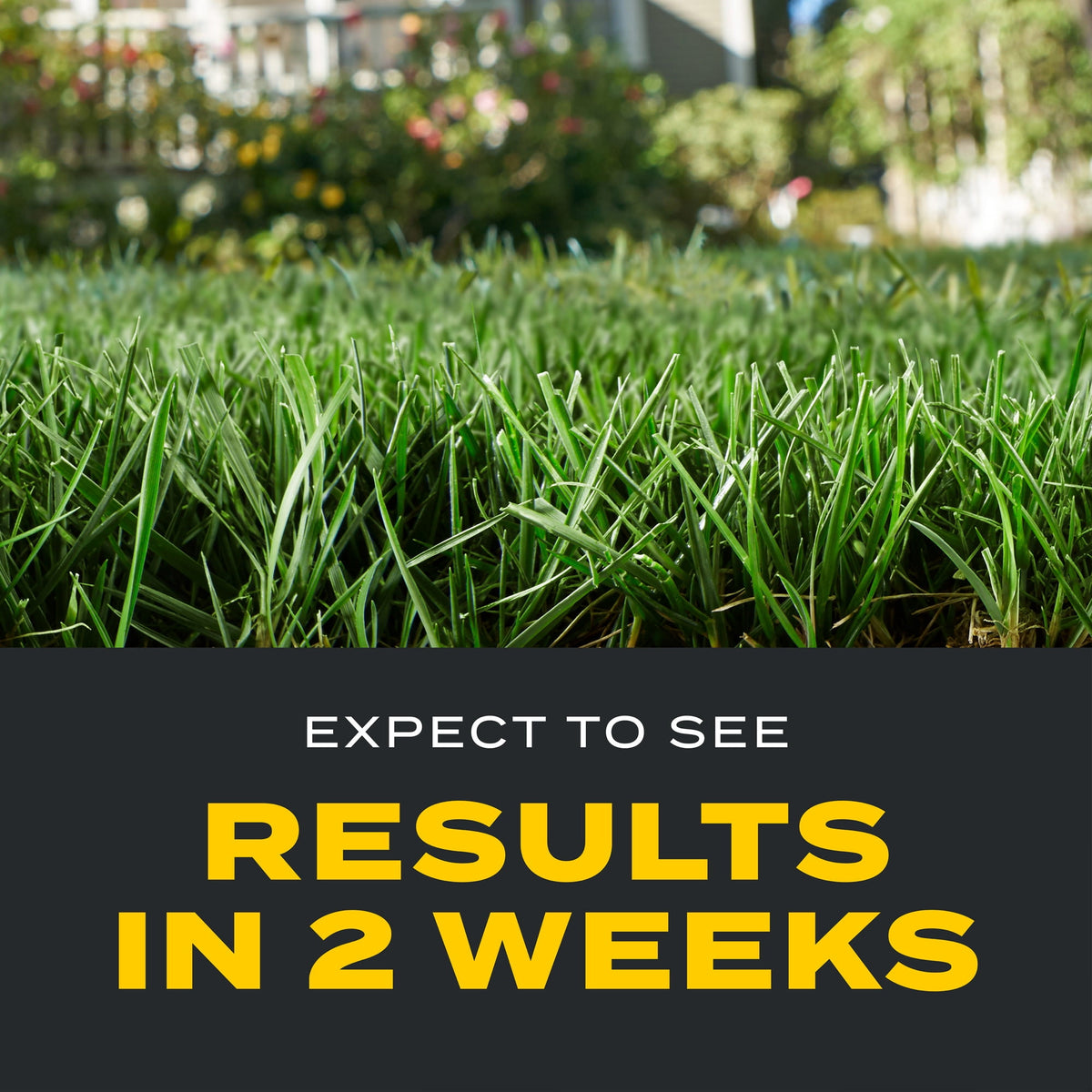 Scotts Turf Builder Triple Action1, 11.31 lbs., 4,000 sq. ft.