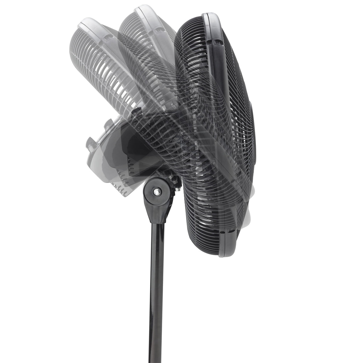 Lasko 16" 3-Speed Oscillating, Adjustable Height, Pedestal Fan S16500