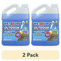(2 pack) Wet & Forget Outdoor MAX Moss, Mold, Mildew, and Algae Stain Remover Concentrate, 128 oz