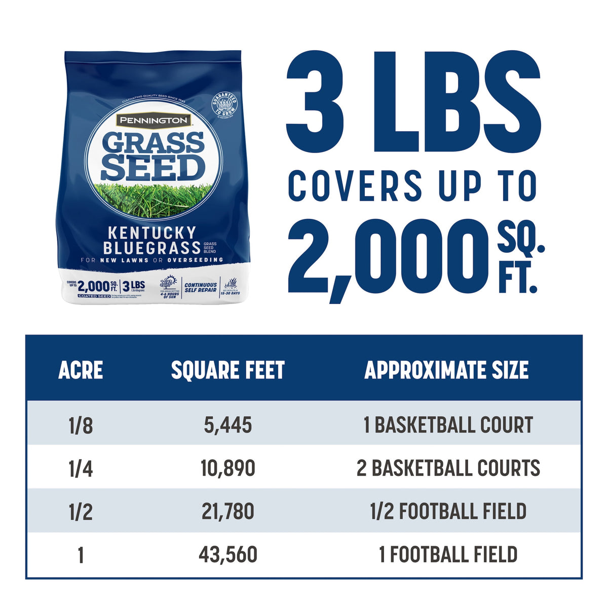 (2 pack) Pennington Kentucky Bluegrass Northern Grass Seed Mix for Sun to Partial Shade, 3 lb