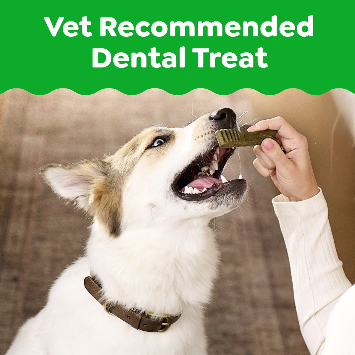 Greenies Original Flavor Natural Dental Dog Treats, Regular Size, 36 oz Pack, 36 Count
