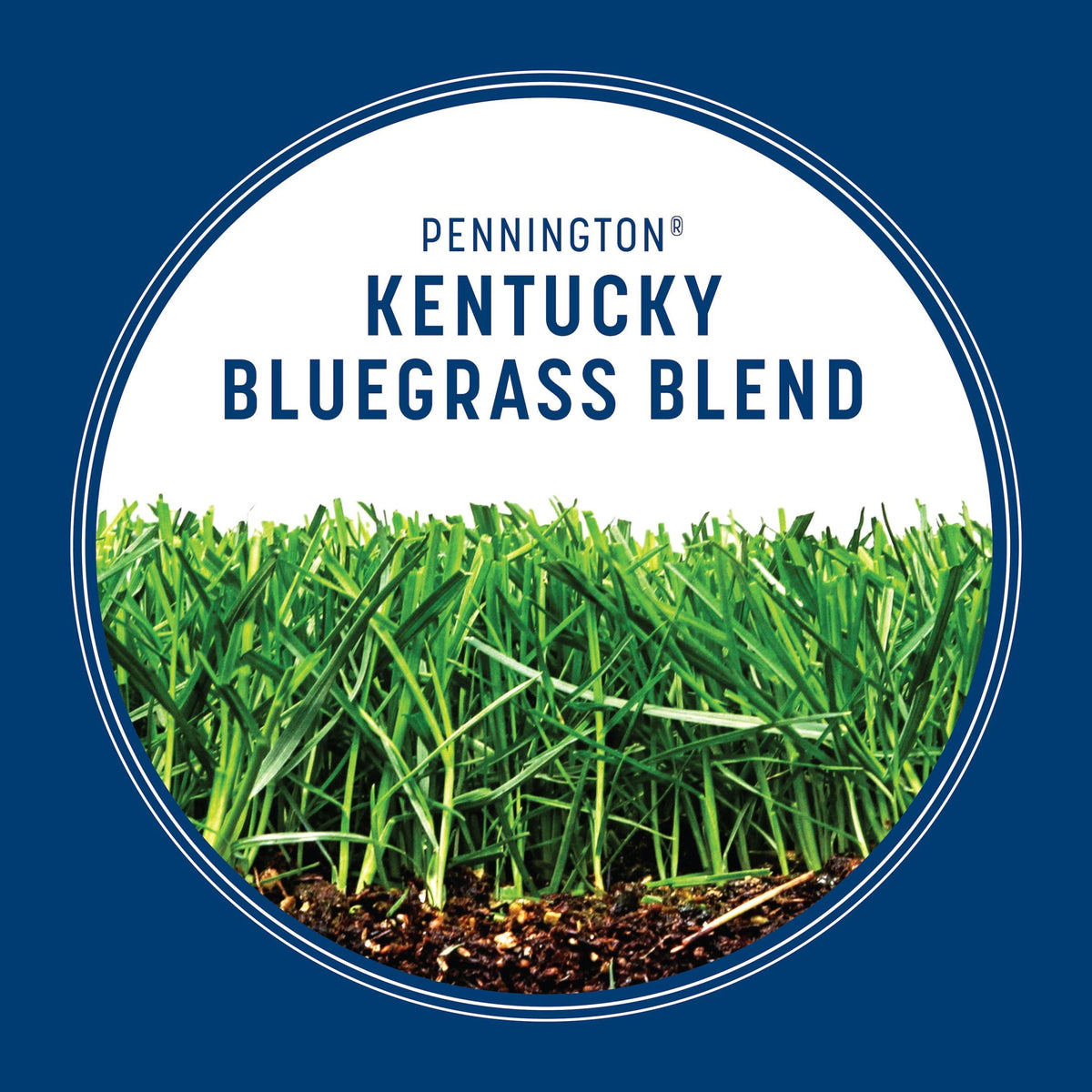 (2 pack) Pennington Kentucky Bluegrass Northern Grass Seed Mix for Sun to Partial Shade, 3 lb