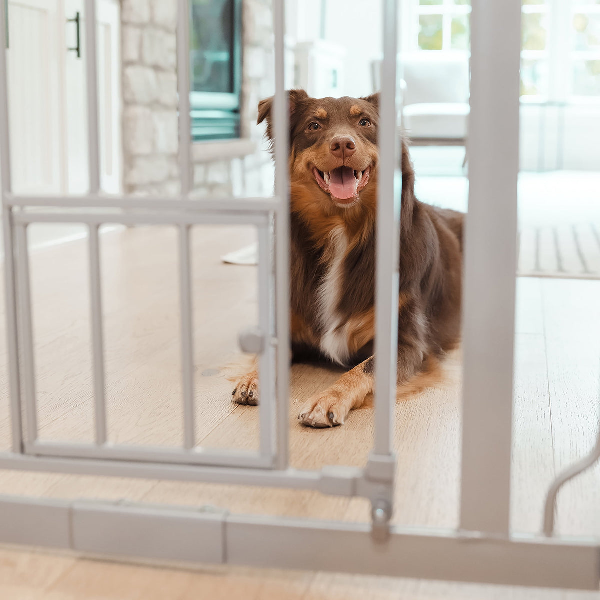 Carlson Extra Tall Walk-Through Pet Gate, Platinum, 36" H x 29"-36.5" L, with 4-inch Extension, Includes Pressure and Wall Mount Kits