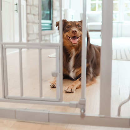 Carlson Extra Tall Walk-Through Pet Gate, Platinum, 36" H x 29"-36.5" L, with 4-inch Extension, Includes Pressure and Wall Mount Kits