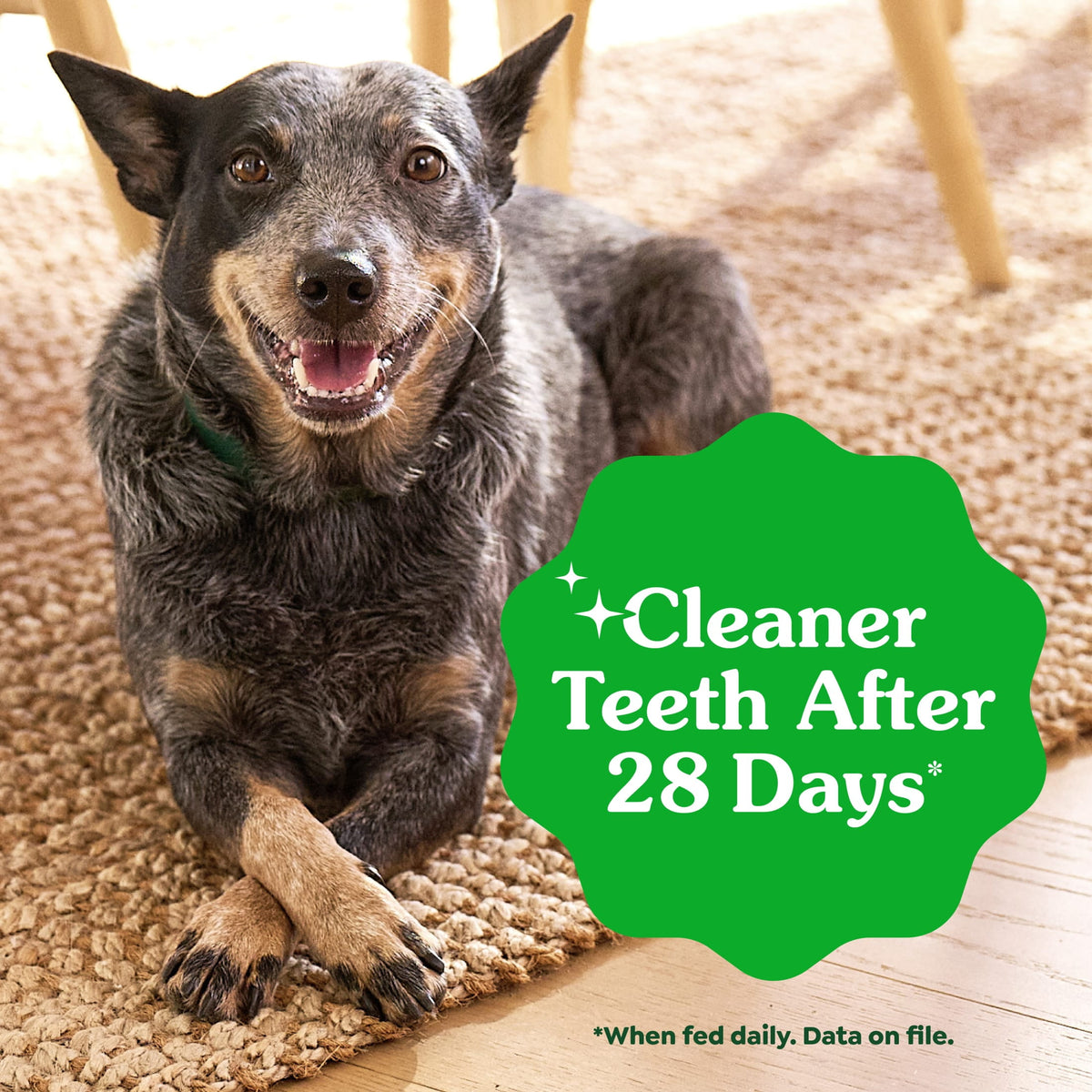 Greenies Original Flavor Natural Dental Dog Treats, Regular Size, 36 oz Pack, 36 Count