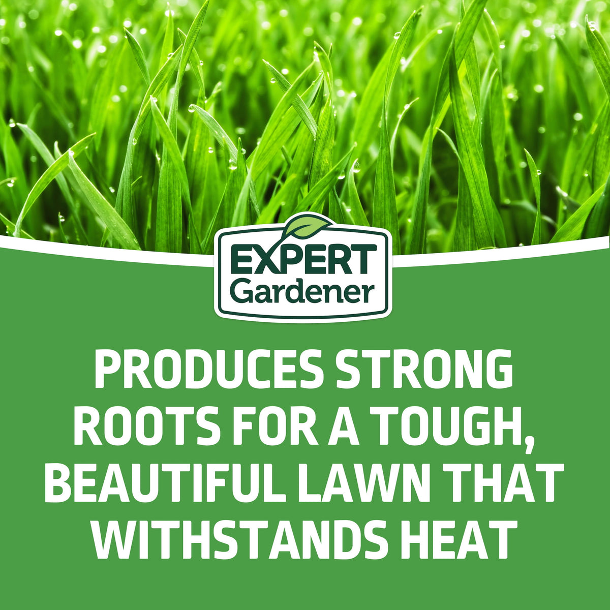 Expert Gardener Tall Fescue Grass Seed Mix, Sun to Partial Shade, 20 lb