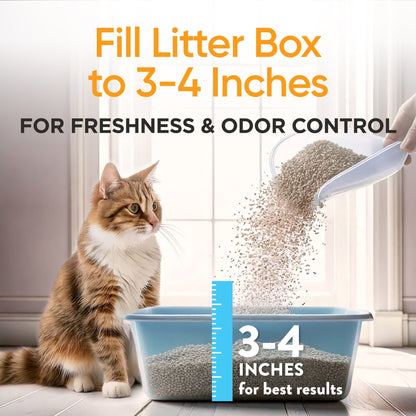(4 pack) ARM & HAMMER Dual Defense with Microban Clumping Cat Litter for Multi-Cat Households, 14 lbs
