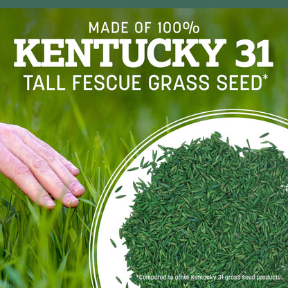 Pennington Kentucky 31 Tall Fescue Grass Seeds for Lawn, for Sun to Partial Shade, 20 lb