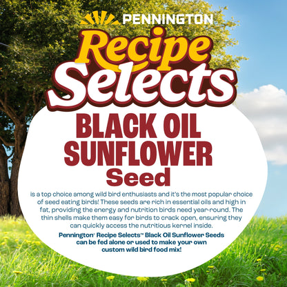 Pennington Recipe Selects Black Oil Sunflower Seed Dry Wild Bird Feed, Bird Food, 40 lb. Bag, 1 Pack