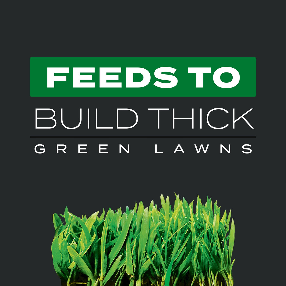 Scotts Turf Builder Triple Action1, 11.31 lbs., 4,000 sq. ft.