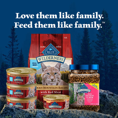 Blue Buffalo Wilderness Natural Dry Cat Food, Rocky Mountain Recipe, Red Meat, 4-lb. Bag