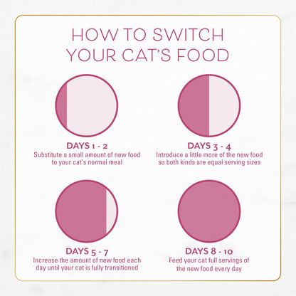 Purina Fancy Feast Dry Cat Food Filet Mignon Flavor with Seafood and Shrimp, 12 lb Bag, 4 Pack