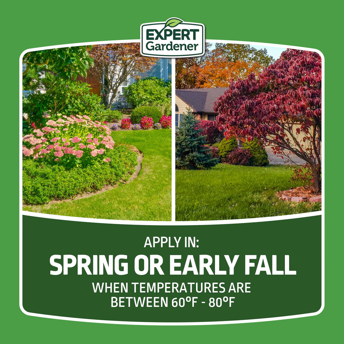 Expert Gardener Tall Fescue Grass Seed Mix, Sun to Partial Shade, 20 lb