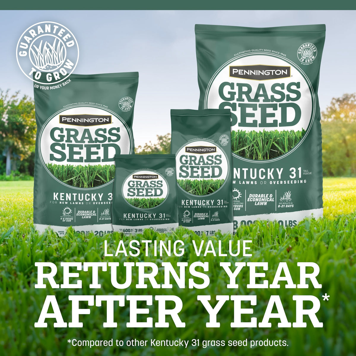 Pennington Kentucky 31 Tall Fescue Grass Seeds for Lawn, for Sun to Partial Shade, 20 lb