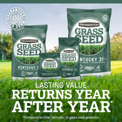 Pennington Kentucky 31 Tall Fescue Grass Seeds for Lawn, for Sun to Partial Shade, 20 lb