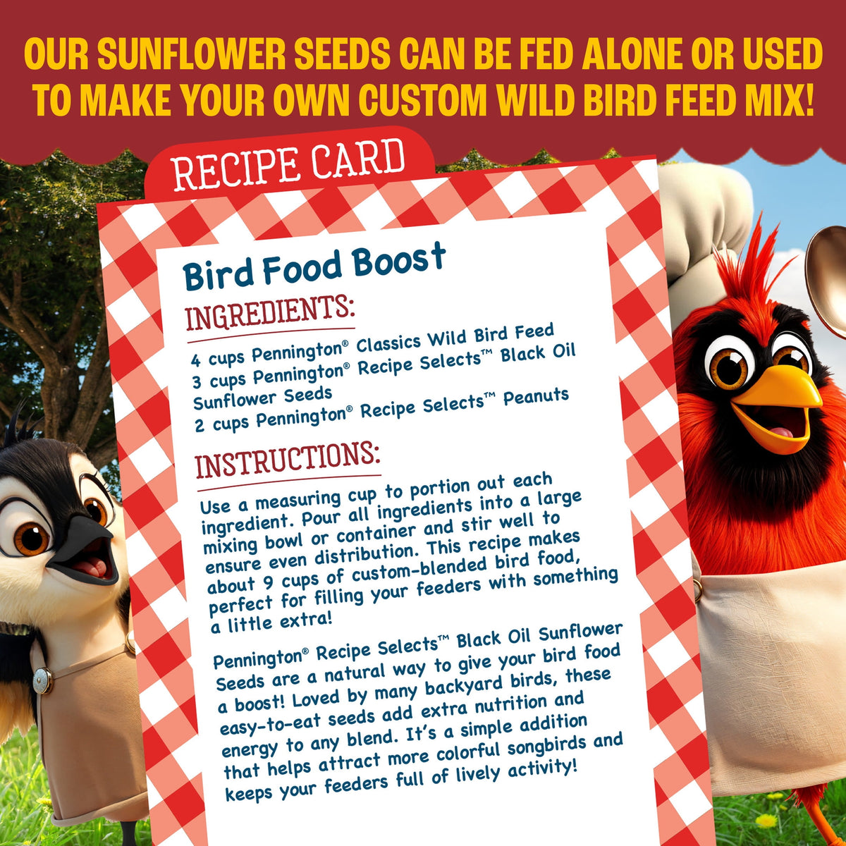 Pennington Recipe Selects Black Oil Sunflower Seed Dry Wild Bird Feed, Bird Food, 40 lb. Bag, 1 Pack