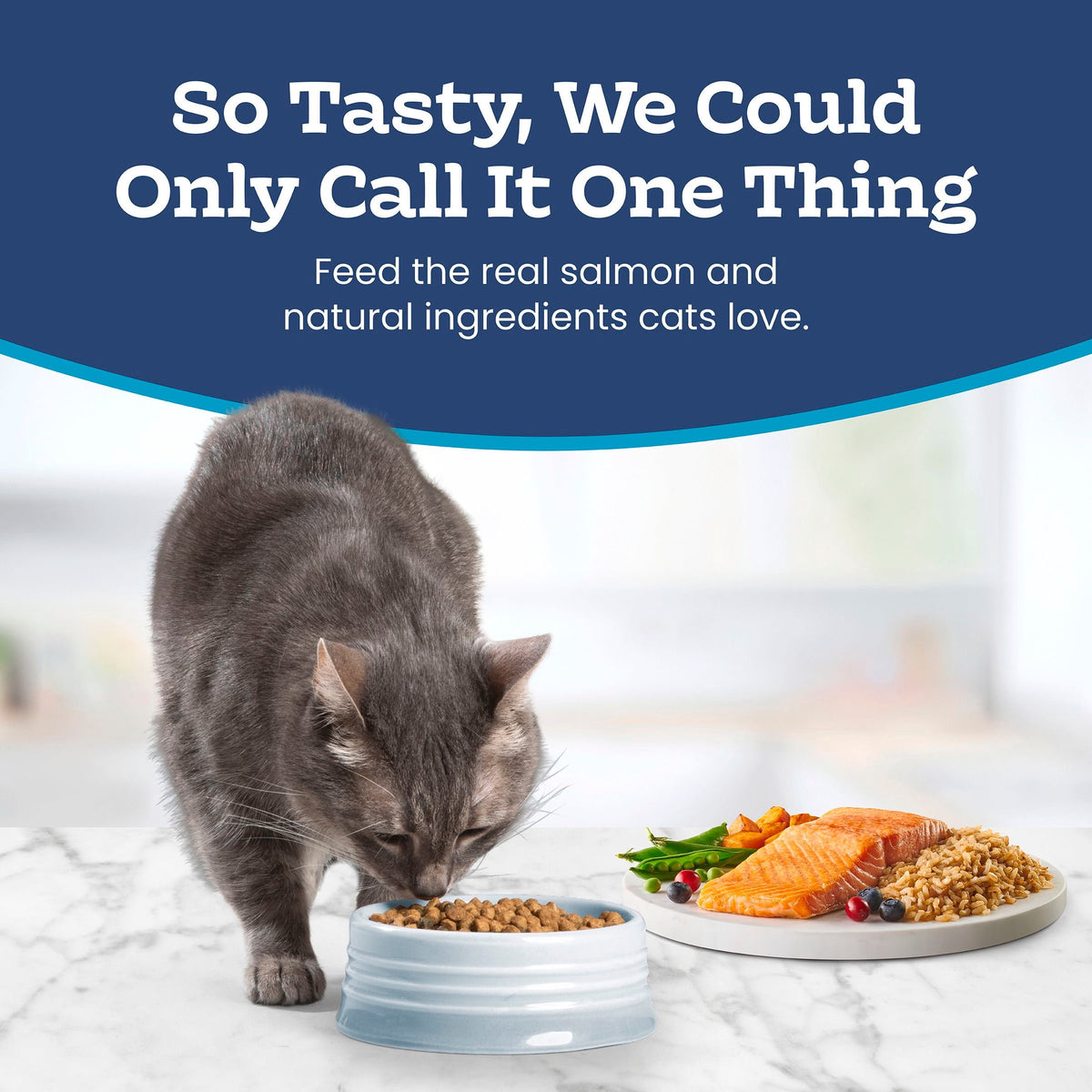 Blue Buffalo Tastefuls Natural Dry Food for Adult Indoor Cats, Salmon & Brown Rice Recipe, 15-lb Bag