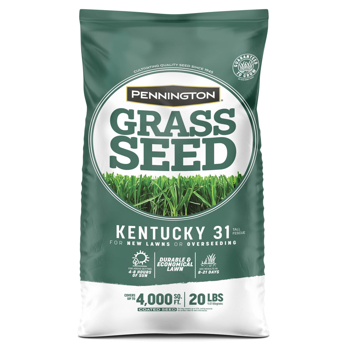 Pennington Kentucky 31 Tall Fescue Grass Seeds for Lawn, for Sun to Partial Shade, 20 lb