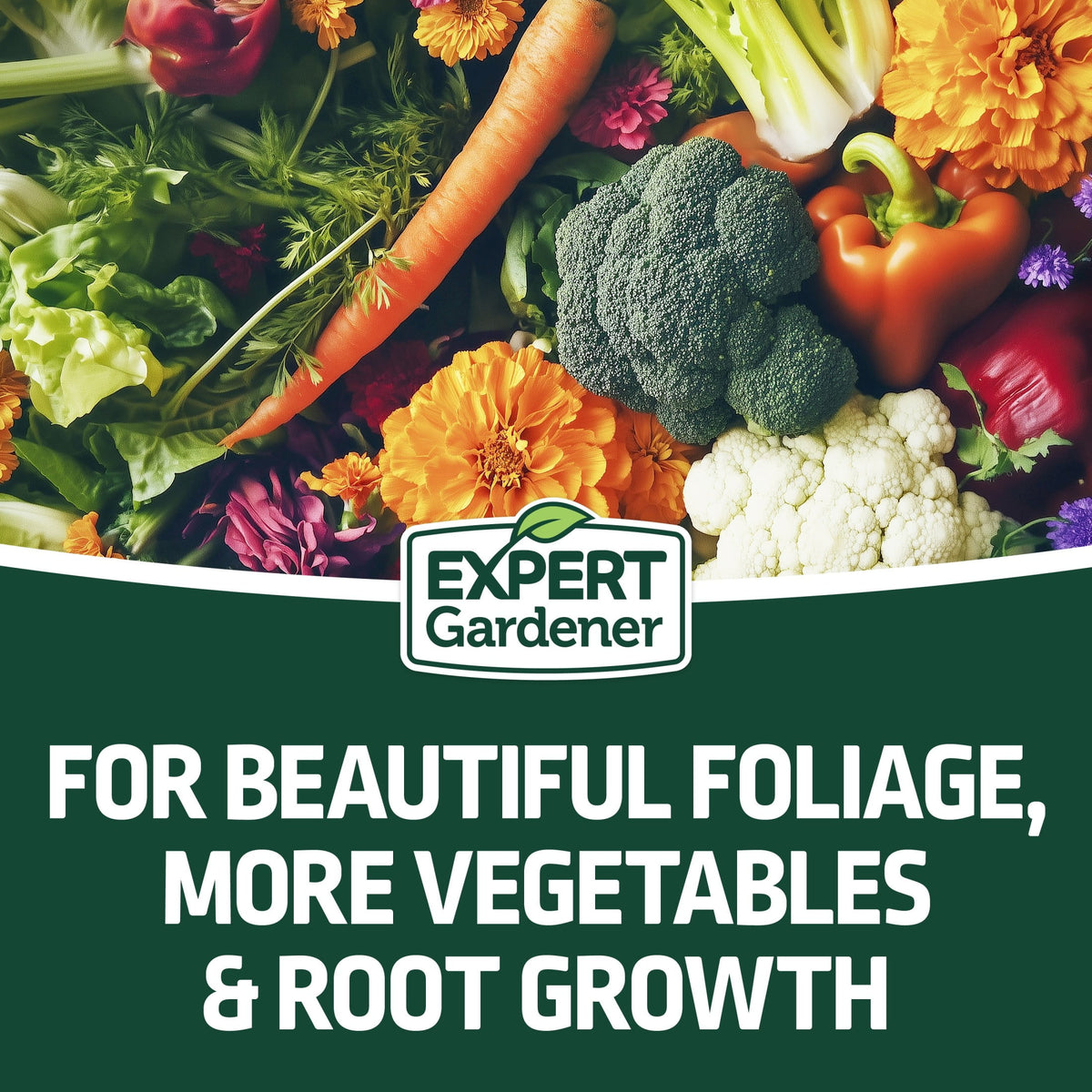Expert Gardener All Purpose Fertilizer 13-13-13, 40 lb