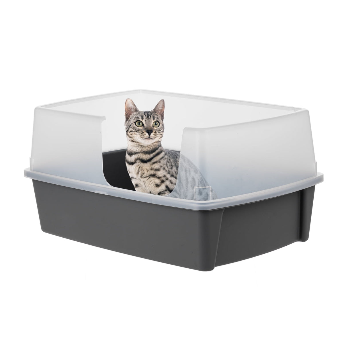 IRIS XXL Open-Top, Side Entry Cat Litter Box with High Sides, Easy to Clean for Big Cats, Gray
