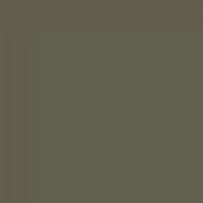 (4 pack) Rust-Oleum Automotive Self Etching Primer Spray, Dark Green, 12 oz