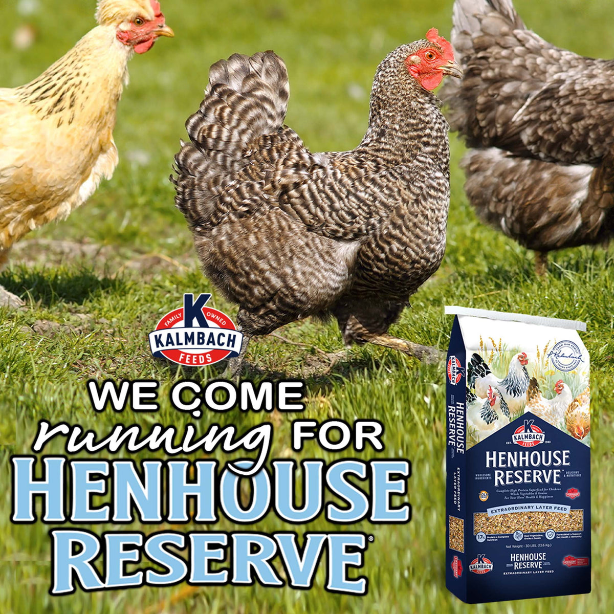 (2 pack) Kalmbach Feeds 18% Henhouse Reserve Extraordinary Whole Grain Layer Feed for Chickens 30 lb bag