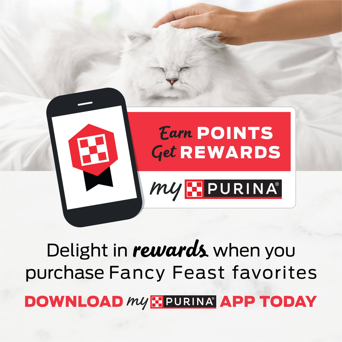 Purina Fancy Feast Dry Cat Food Filet Mignon Flavor with Seafood and Shrimp, 12 lb Bag, 4 Pack