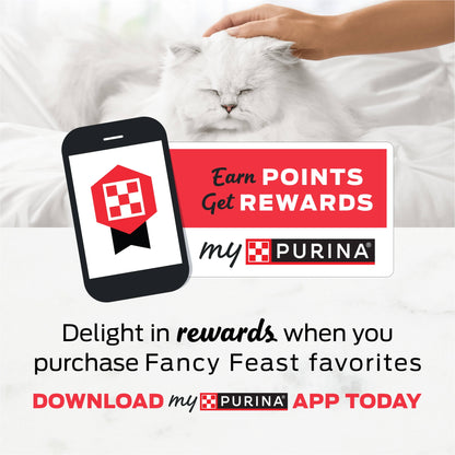 Purina Fancy Feast Dry Cat Food Filet Mignon Flavor with Seafood and Shrimp, 12 lb Bag, 4 Pack