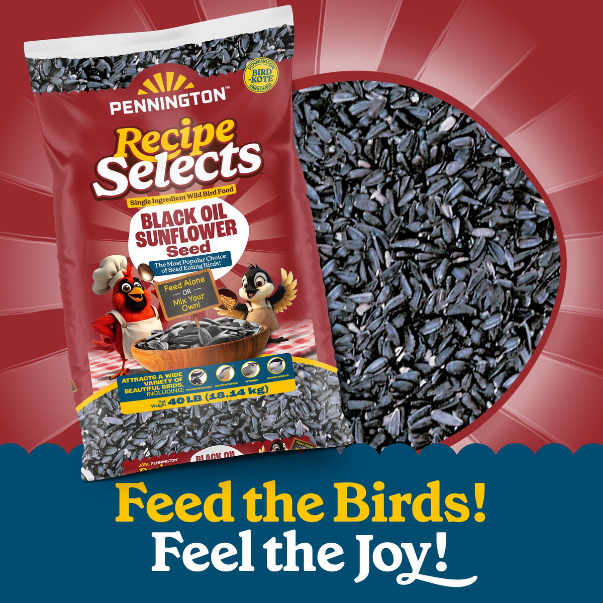 Pennington Recipe Selects Black Oil Sunflower Seed Dry Wild Bird Feed, Bird Food, 40 lb. Bag, 1 Pack