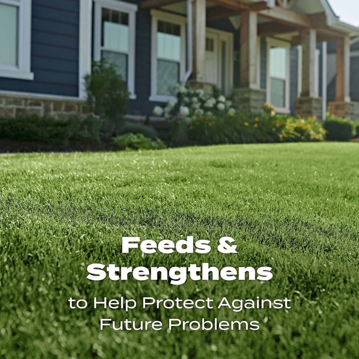 Scotts Turf Builder Lawn Fertilizer, 15,000 sq. ft., 37.50 lbs.