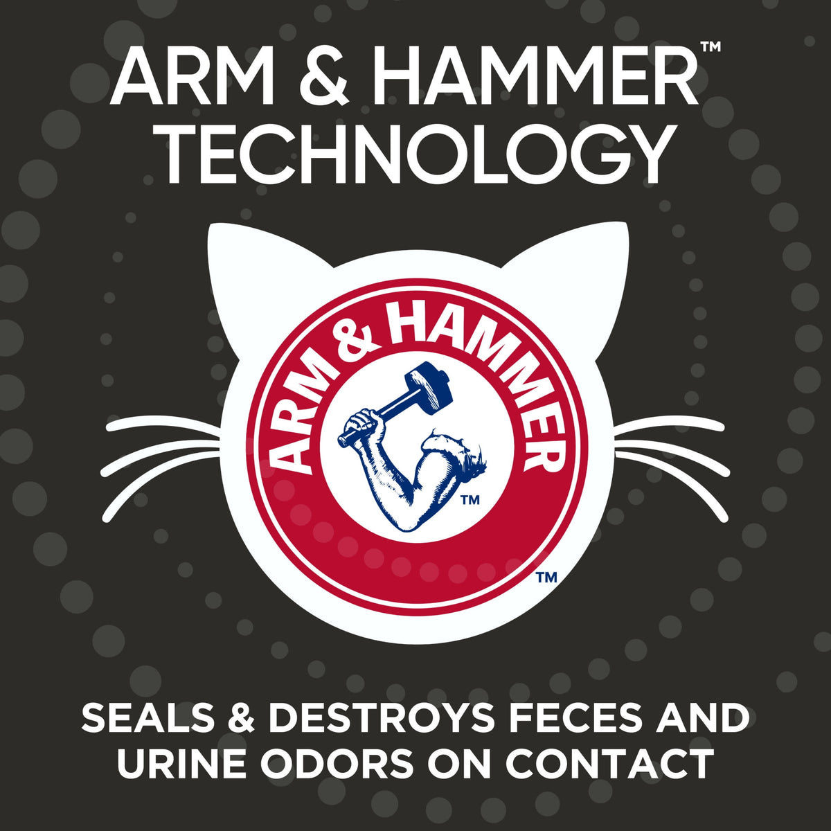 (4 pack) ARM & HAMMER Dual Defense with Microban Clumping Cat Litter for Multi-Cat Households, 14 lbs