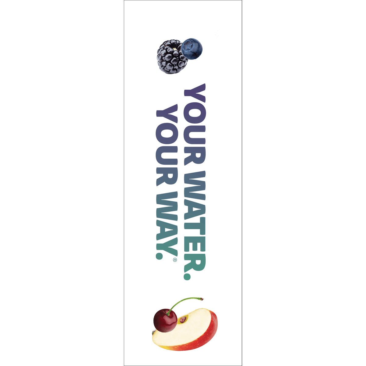 Cirkul 32oz Chameleon Stainless Steel Starter Kit with Chameleon Cirkul Lid 2.0 and 2 Flavor Cartridges (Blackberry Blueberry & Berry Blue Punch)