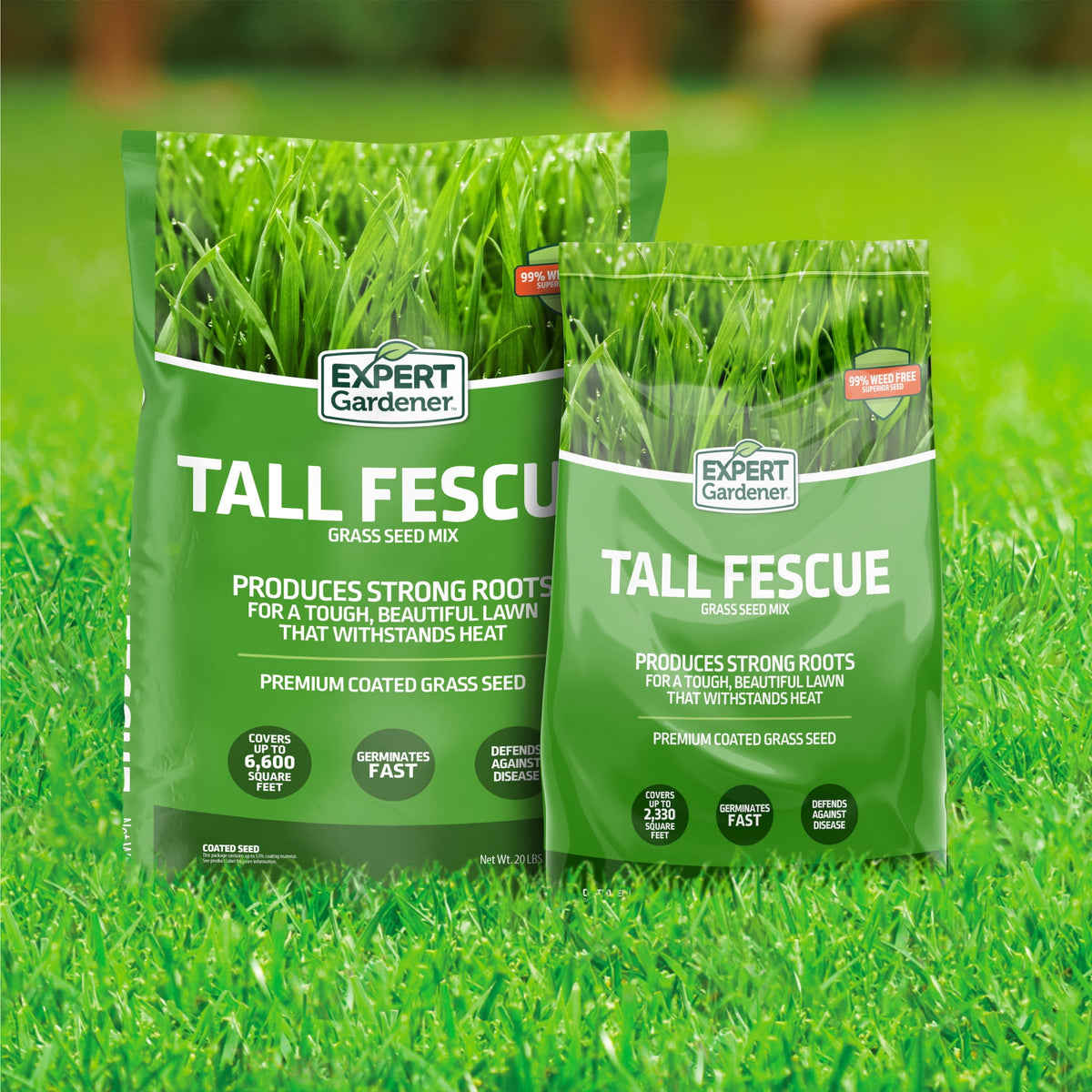 Expert Gardener Tall Fescue Grass Seed Mix, Sun to Partial Shade, 20 lb