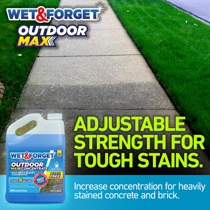 (2 pack) Wet & Forget Outdoor MAX Moss, Mold, Mildew, and Algae Stain Remover Concentrate, 128 oz