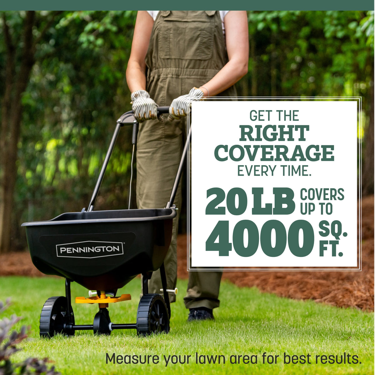 Pennington Kentucky 31 Tall Fescue Grass Seeds for Lawn, for Sun to Partial Shade, 20 lb