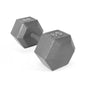 CAP Barbell 35lb Cast Iron Hex Dumbbell, Single
