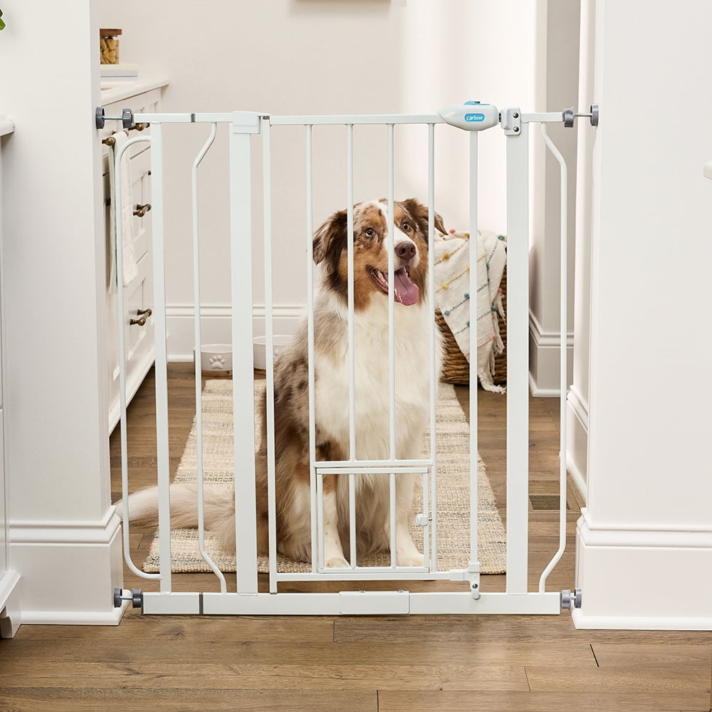 Carlson Extra Tall Walk-Through Pet Gate, Platinum, 36" H x 29"-36.5" L, with 4-inch Extension, Includes Pressure and Wall Mount Kits