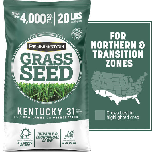 Pennington Kentucky 31 Tall Fescue Grass Seeds for Lawn, for Sun to Partial Shade, 20 lb