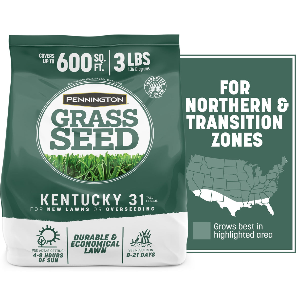 Pennington Kentucky 31 Tall Fescue Grass Seeds for Lawn, for Sun to Partial Shade, 20 lb