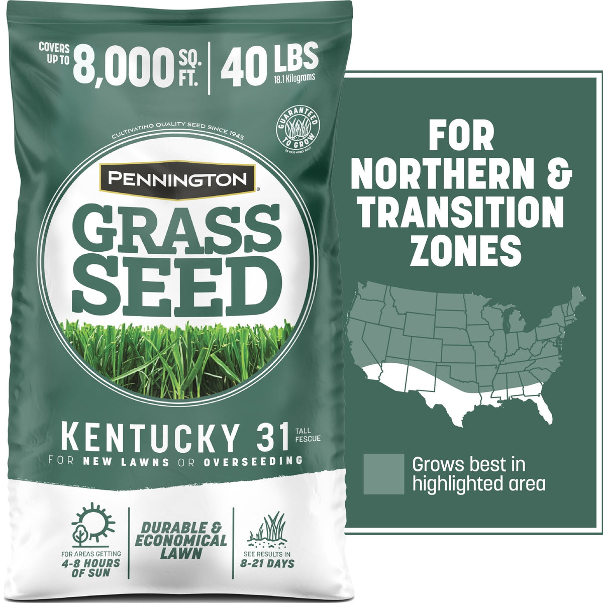 Pennington Kentucky 31 Tall Fescue Grass Seeds for Lawn, for Sun to Partial Shade, 20 lb