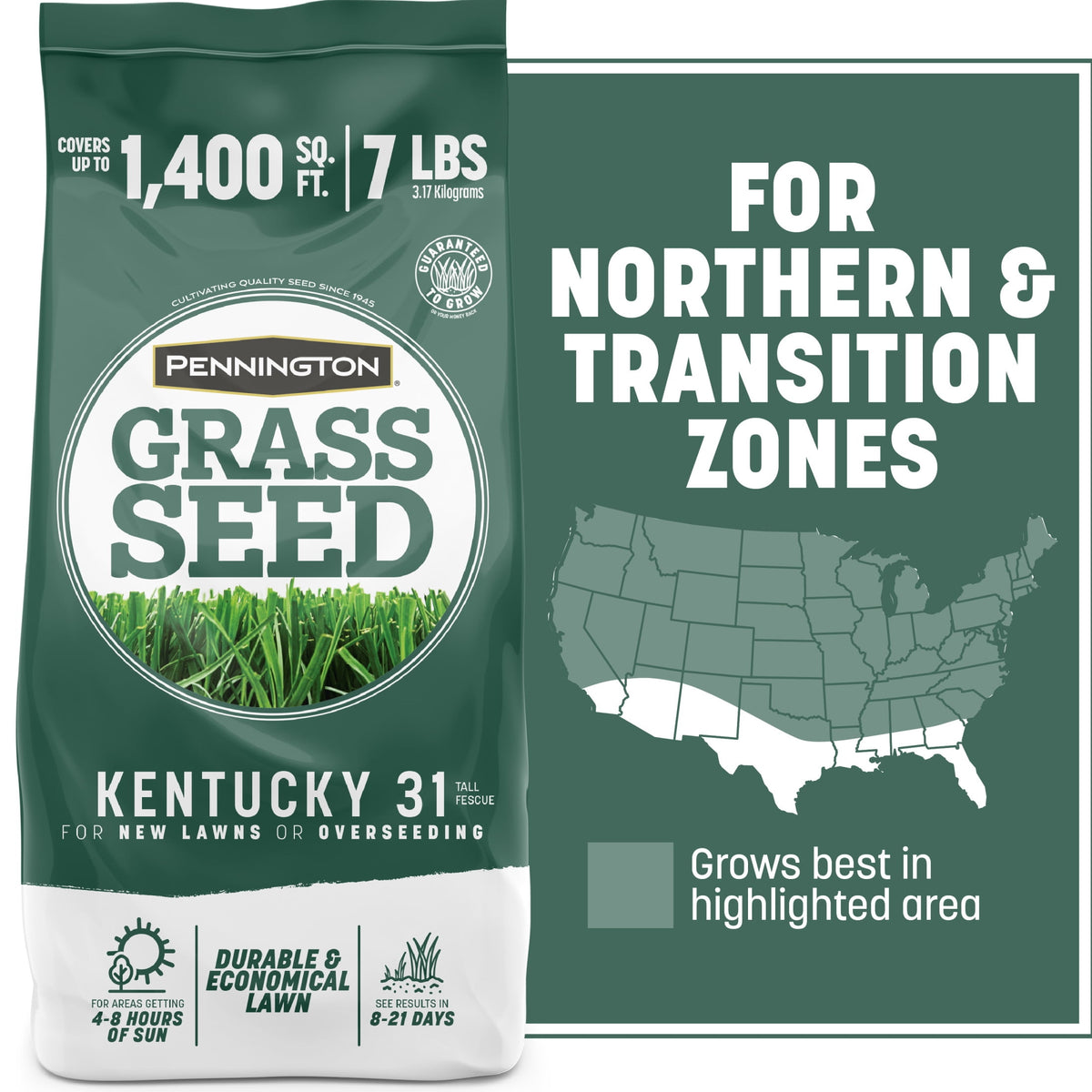 Pennington Kentucky 31 Tall Fescue Grass Seeds for Lawn, for Sun to Partial Shade, 20 lb