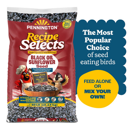 Pennington Recipe Selects Black Oil Sunflower Seed Dry Wild Bird Feed, Bird Food, 40 lb. Bag, 1 Pack