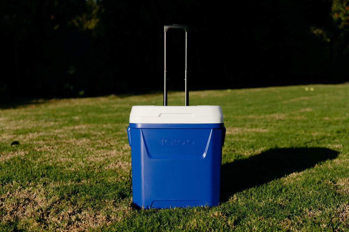 Igloo 60 QT Laguna Ice Chest Cooler with Wheels, Blue