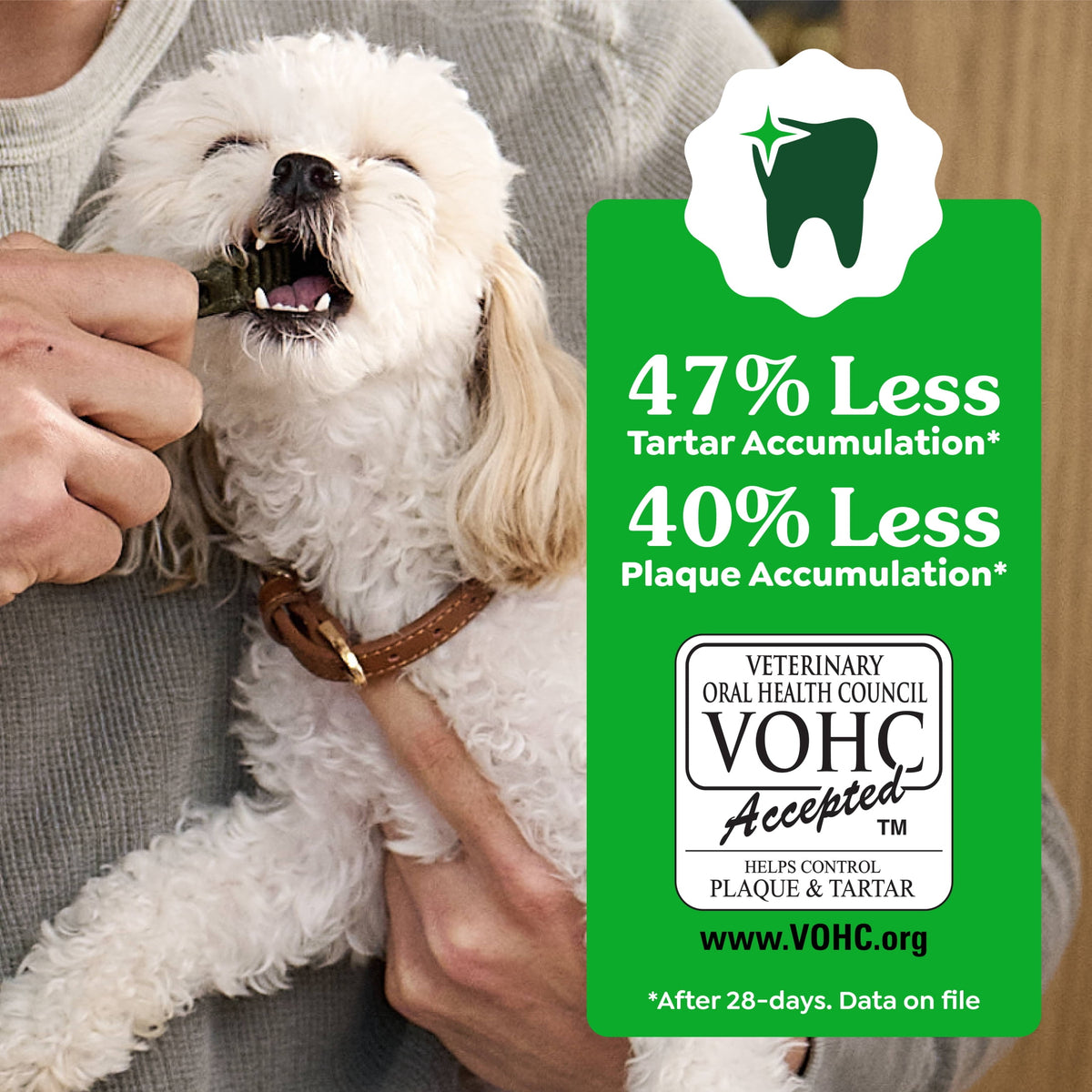 Greenies Original Flavor Natural Dental Dog Treats, Regular Size, 36 oz Pack, 36 Count