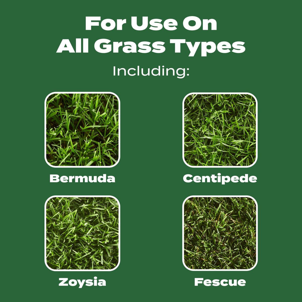 Scotts Turf Builder Lawn Fertilizer, 15,000 sq. ft., 37.50 lbs.