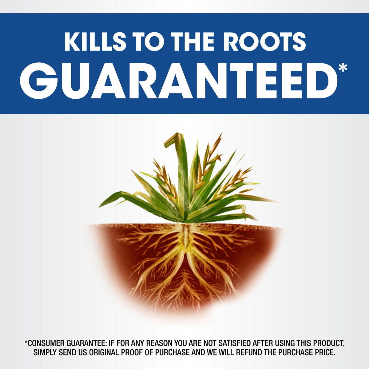 Roundup Weed & Grass Killer₄ Concentrate, Use In Flower Beds and other areas of your yard, 64 fl.oz.