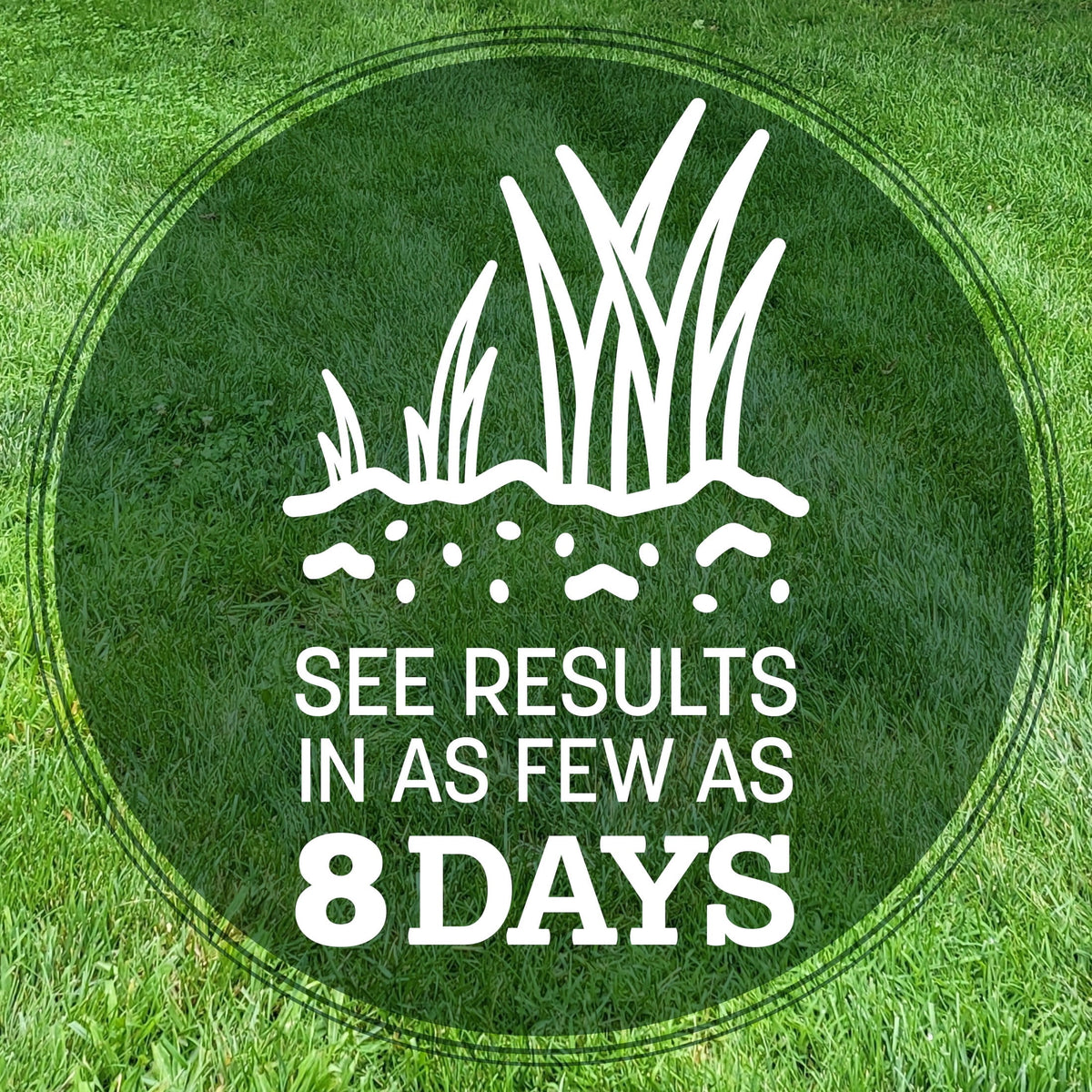 Pennington Kentucky 31 Tall Fescue Grass Seeds for Lawn, for Sun to Partial Shade, 20 lb