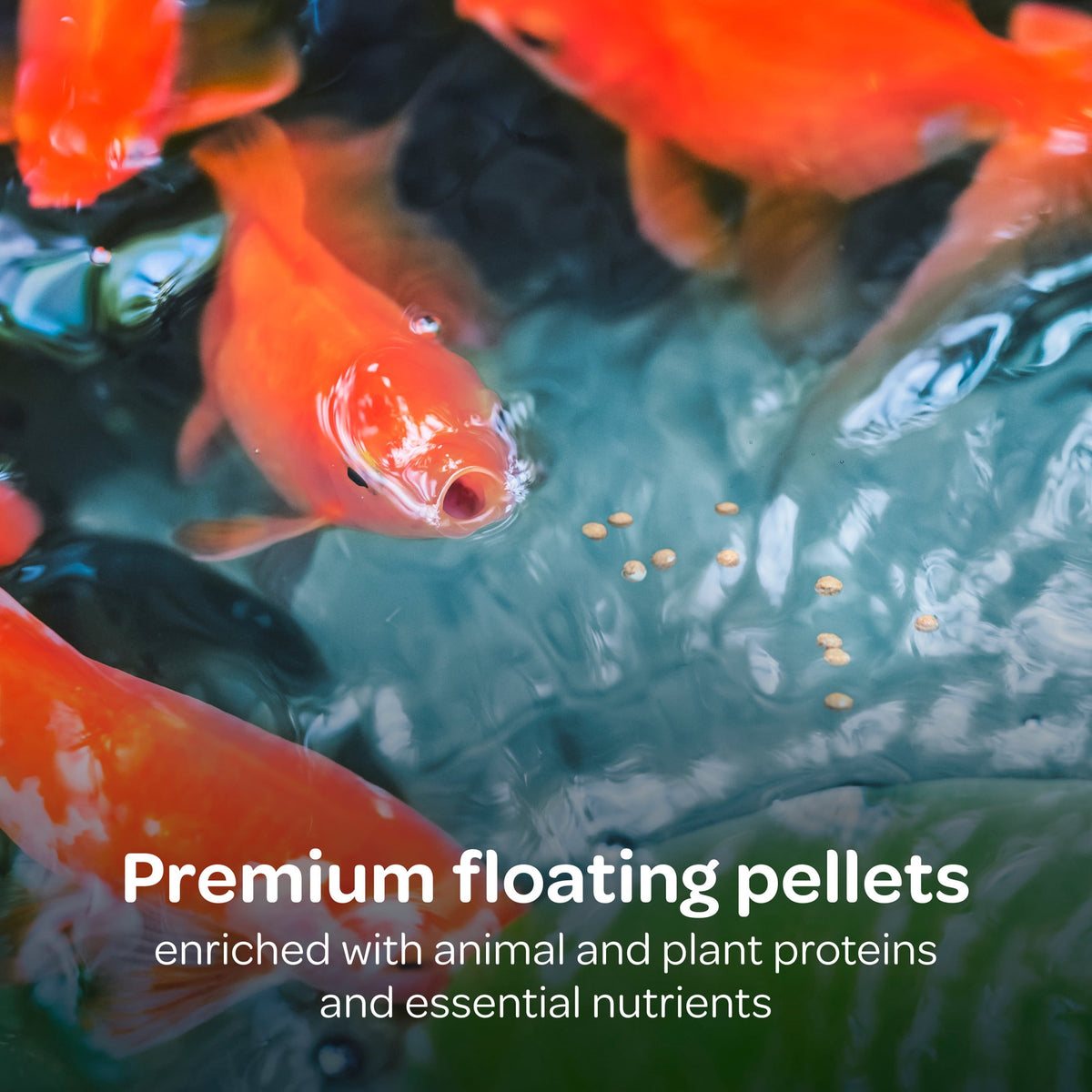 (2 pack) Kaytee Koi's Choice, Floating Fish Food 10 pounds